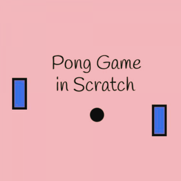 2 Player Pin-pong